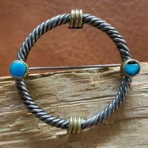 Vintage Taxco Mexico Turquoise Sterling Silver With Gold Accent Cable Brooch